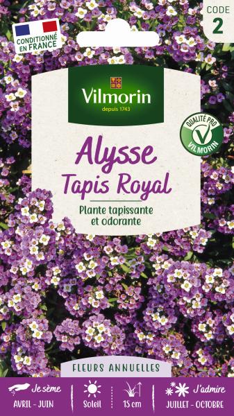 Fleurs - Alysse Tapis Royal - PACKAGING_RECTO